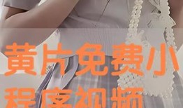 在线视频毛片,从毛片视频到社会危害的反思